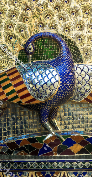 IDFC-FIRST-CREDIT-CARD-IMG